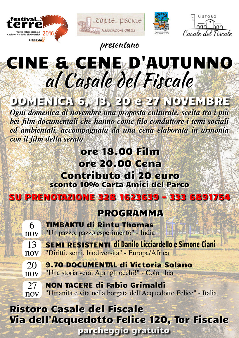 cinecene-web