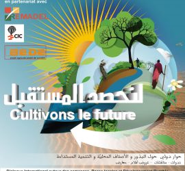 Produci dal basso! Sostieni il Festival delle terre!