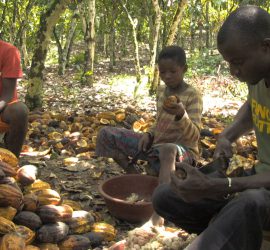 Shady Chocolate: prima nazionale giovedì 9 maggio