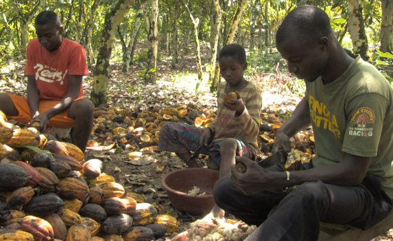Shady Chocolate: prima nazionale giovedì 9 maggio