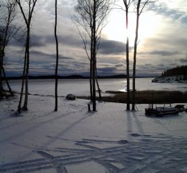 Terra Nera presentato in anteprima al Festival