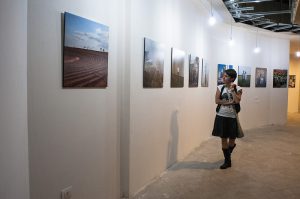 About the Festival 4