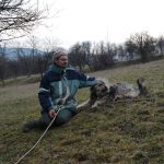 The voice of the land 11