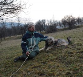 The voice of the land 11