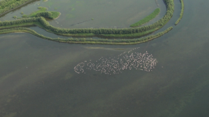 Tra Terra e Acqua 2