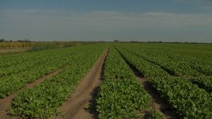 Tra Terra e Acqua 7