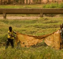 14th FESTIVAL DELLE TERRE - Submissions are open! 2