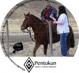 Pentukun. Salute e cultura Mapuche