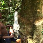 Bikpela Bagarap (Big Damage) 1