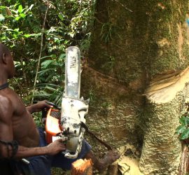 Bikpela Bagarap (Big Damage) 1