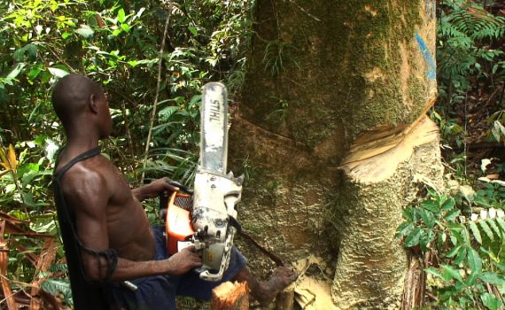 Bikpela Bagarap (Big Damage) 1