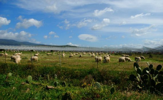 Camminavamo sulla terra