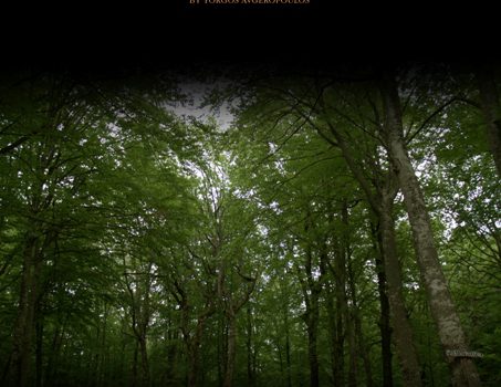 Cassandra's Treasure