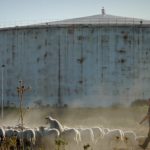 Cattedrali di Sabbia