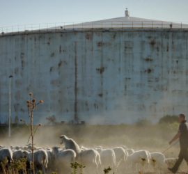 Cattedrali di Sabbia