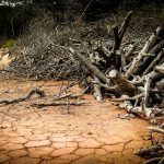 Festival delle Terre 2015 - XII Edizione