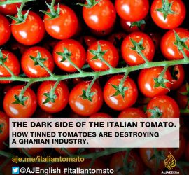 Il Lato oscuro del pomodoro