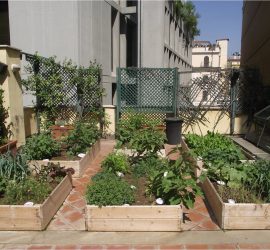 La Natura Ispira le Mani