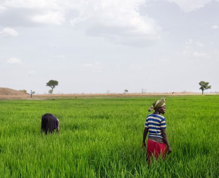 Mercato globale vs. Mercato locale