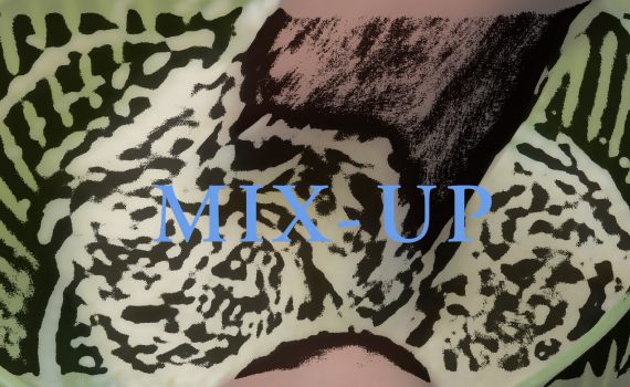 Mix up 1