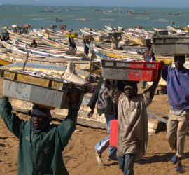 Stealing from the poor 1