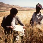 Chi siamo - Festival delle Terre 2015 12