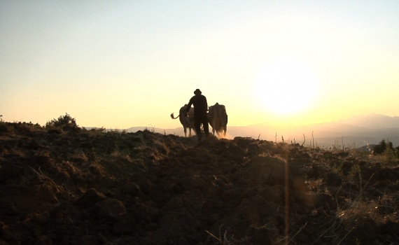Usi civici. Terre nostre