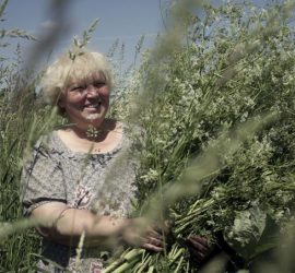 Žalumose. Living among grasses 1