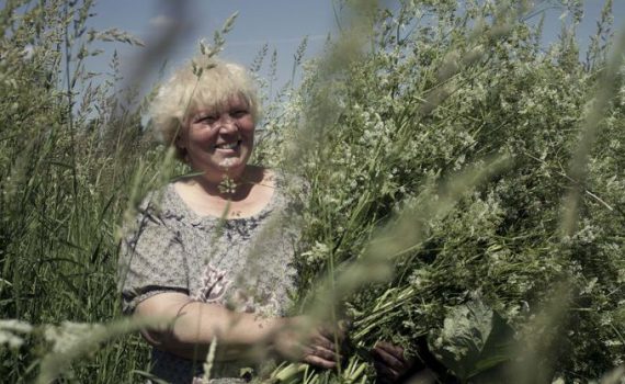 Žalumose. Living among grasses 1