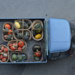 Con i piedi per terra – un viaggio tra terra e cielo 4