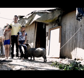 Festival delle Terre 2017 - Il Trailer