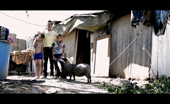 Festival delle Terre 2017 - Il Trailer