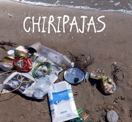 Programma - Festival delle Terre 2017 9