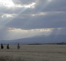 Programma - Festival delle Terre 2017 53