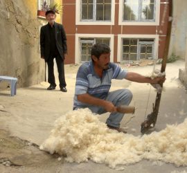 Programma - Festival delle Terre 2017 55