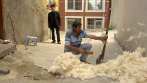 Programma - Festival delle Terre 2017 55