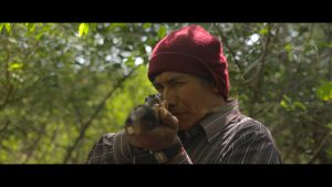 Programma - Festival delle Terre 2017 66