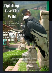 Programma - Festival delle Terre 2017 68