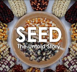 Programma - Festival delle Terre 2017 7