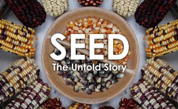 Programma - Festival delle Terre 2017 7