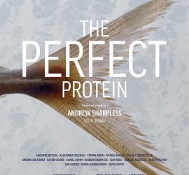 The Perfect Protein