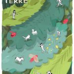 Festival delle Terre 2017 - XIV Edizione